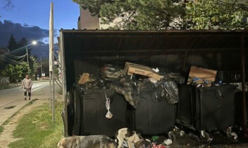 Pamje horror nga QKUK: Qentë shqyejnë fashat me gjak të pacientëve