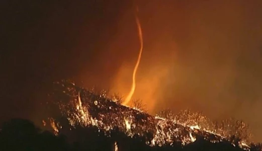 Shkon në 16 numri i të vdekurve nga zjarret në Los Angeles