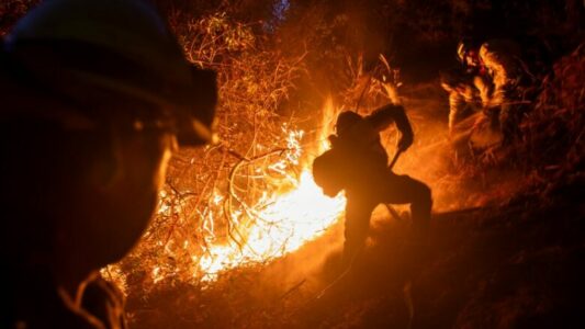 Krejt çfarë dihet deri më tani për zjarret në Los Anxhelos të Kalifornisë