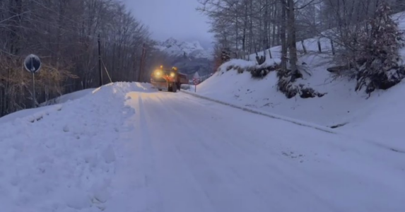 Reshjet e borës në Shqipëri/ Mbyllen shkollat, bllokohen rrugët e ndalet energjia elektrike