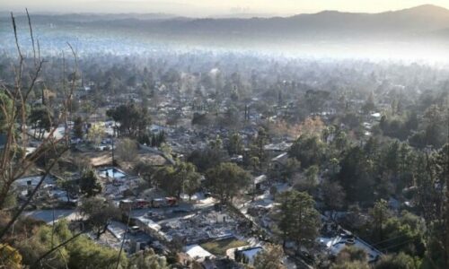 Sipërfaqja totale e djegur në zjarret e Los Anxhelos më e madhe se Parisi