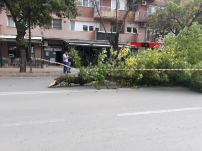 Erëra të forta, komuna e Prishtinës apel qytetarëve: Shmangni qëndrimin pranë objekteve të larta e pemëve